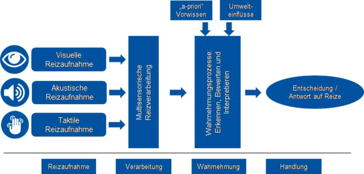 Abb.: Reizverarbeitungskette [1]