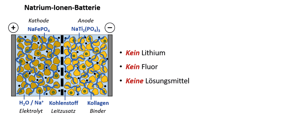 Abb.: Die Komponenten einer wässrigen Na-Ionen-Batterie und ihre Vorzüge. Im Projekt liegt der Fokus auf der Verwendung von Kollagen als biogener Binder.