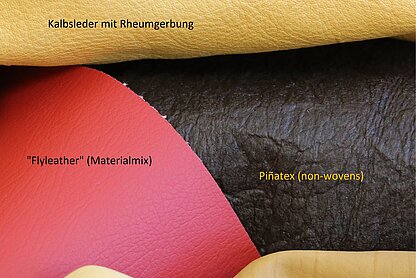 Abb. 1: Beispiele für modische Trendsubstitute (Quelle: B. Trommer, Freiberg)