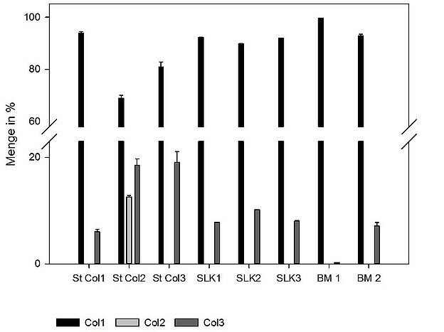 Abb. 2: Quantifizierung von Kollagentypen in B. taurus Proben. St: Kollagenstandard, SLK: säurelösliches Kollagen (eigene Präparation), BM: Biomaterial