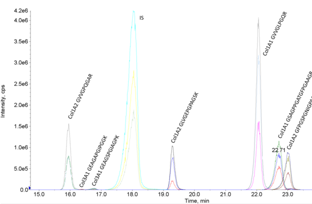 Abb. 1: Ionenchromatogramm einer B. taurus Probe