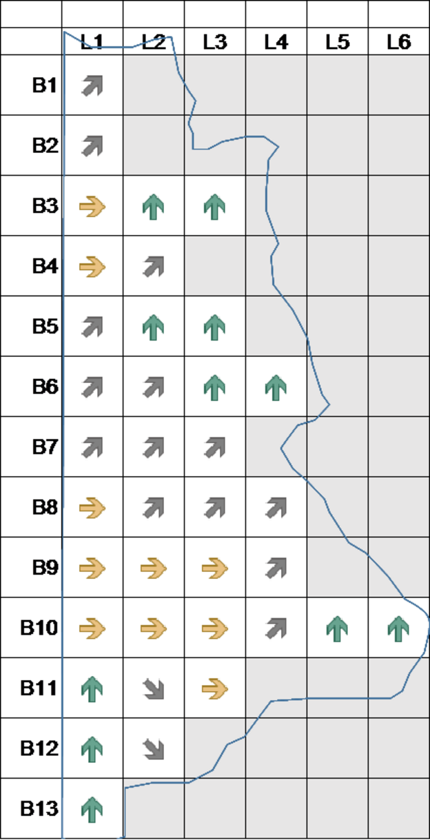 Abb. 2: Vorzugsorientierungen eines Känguruleders (rechte Hälfte); ↑ (0 °), ↗ (45 °), → (90 °), ↘ (135 °)